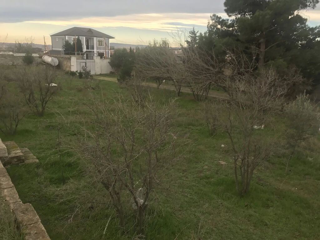 Xüsusi mülkiyyət, su, işıq, qaz, internet xətləri mövcüddur. Hamısı
