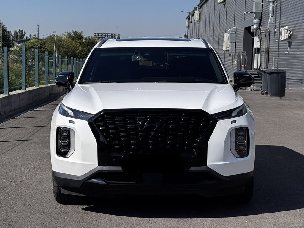 Hyundai Palisade: 2019 г., 2.2 л, Автомат, Дизель, Кроссовер: фото 2