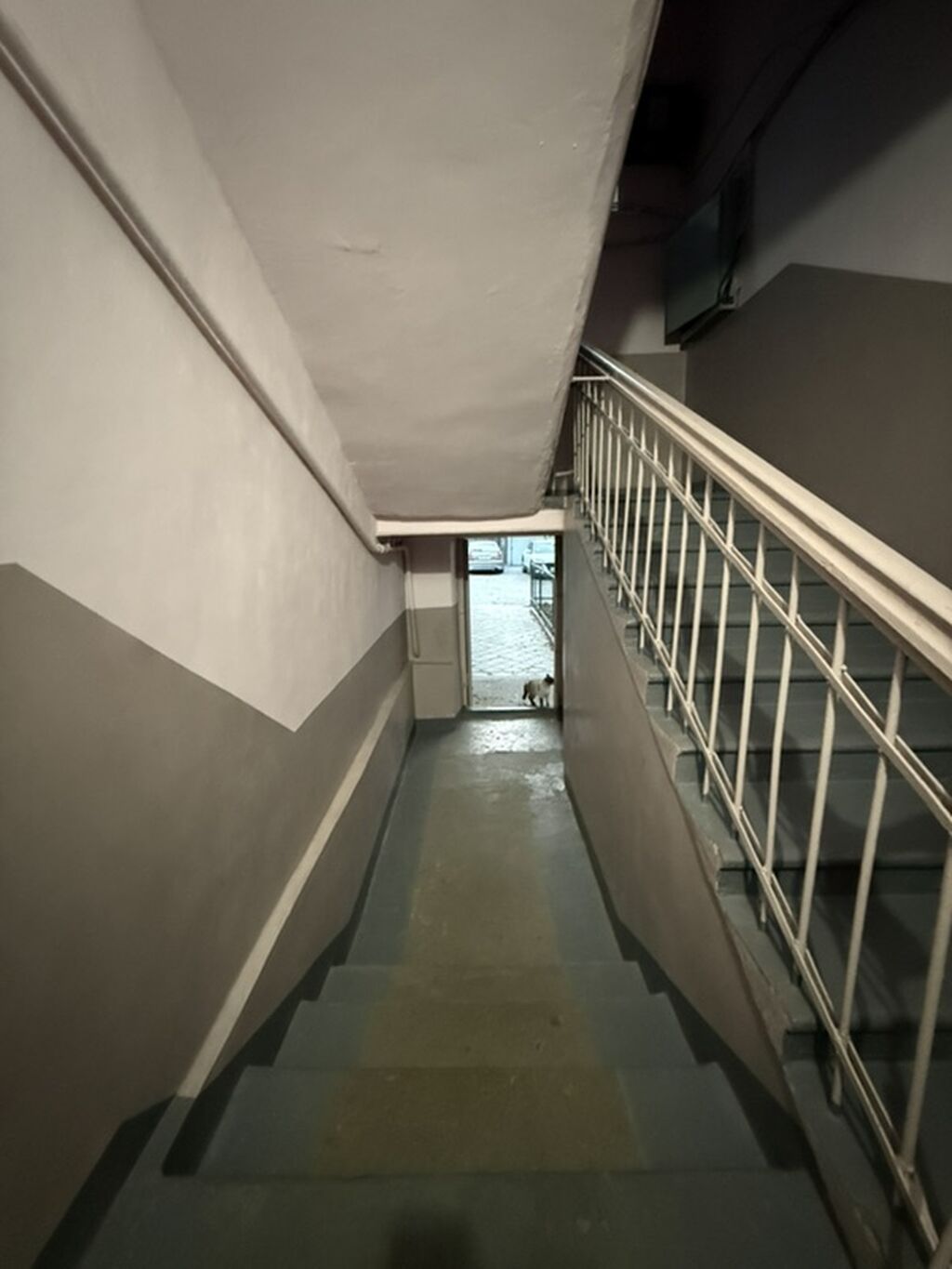 1 комната, 27 м², Индивидуалка, 1 этаж, Косметический ремонт: фото 8