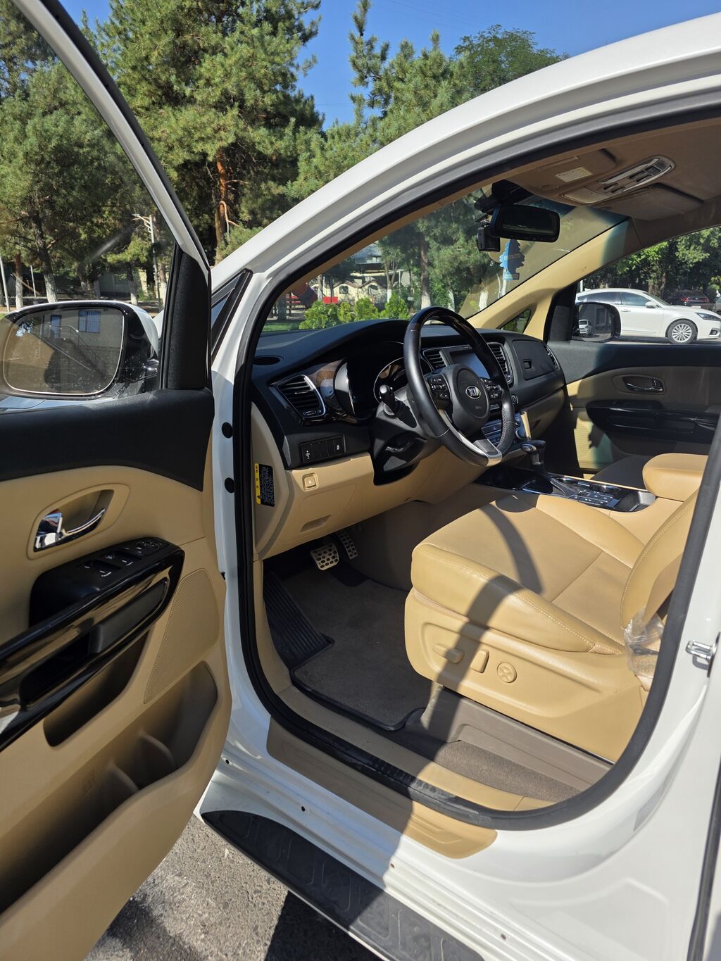 Kia Carnival: 2019 г., 2.2 л, Автомат, Дизель, Минивэн: фото 6
