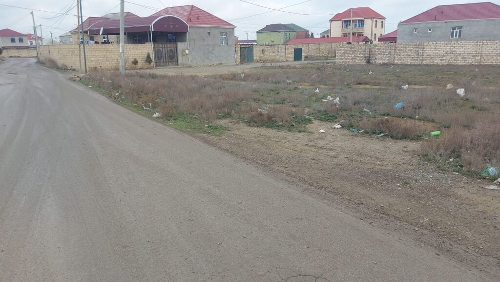 Tikinti