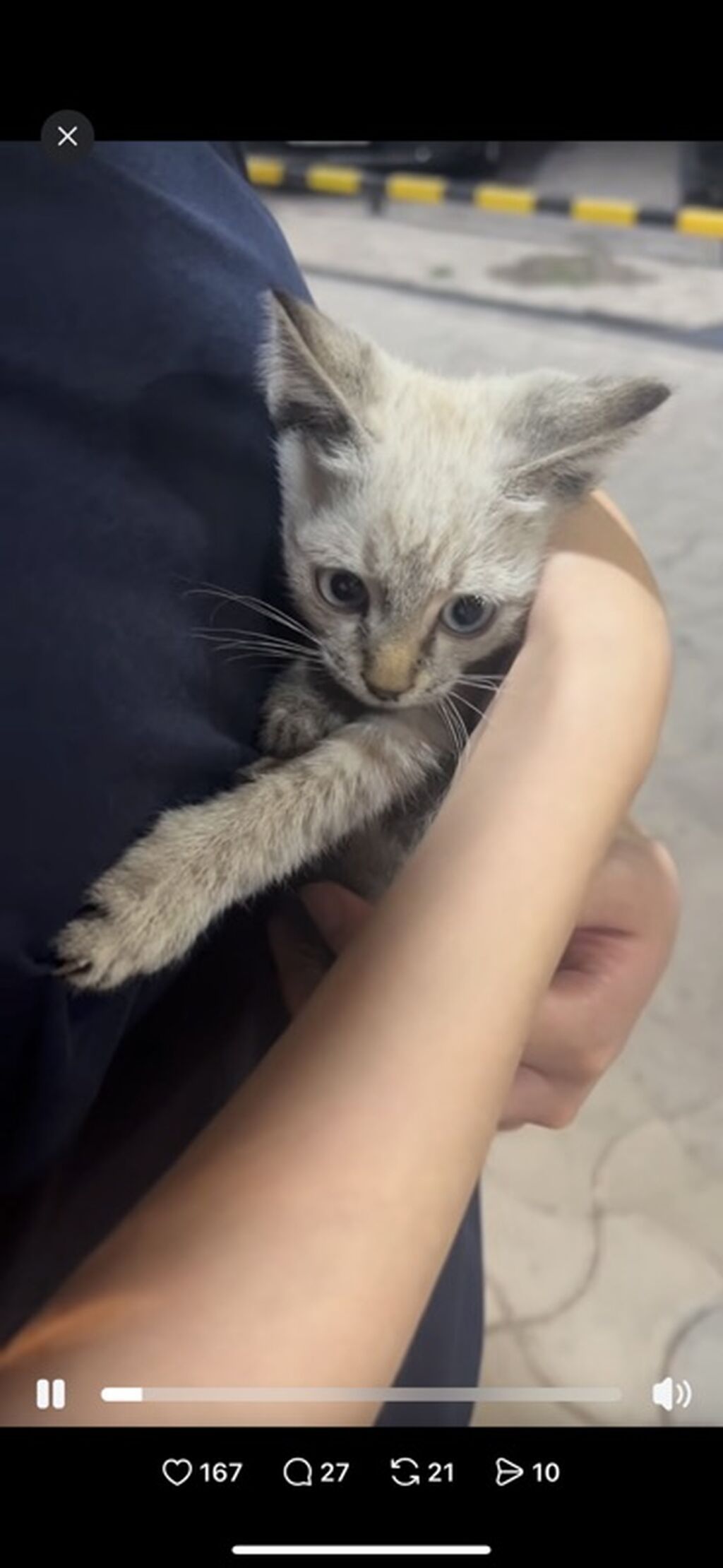 Котёнок 2 месяца ищет дом! Отдам с полным набором для жизни: фото 2