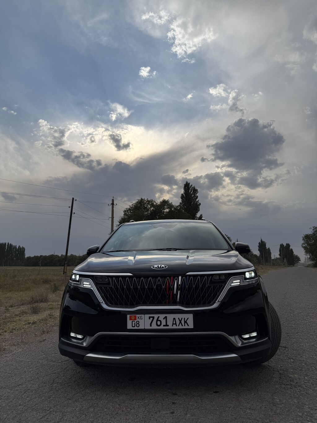 Kia Carnival: 2020 г., 2.2 л, Автомат, Дизель, Минивэн: фото 1