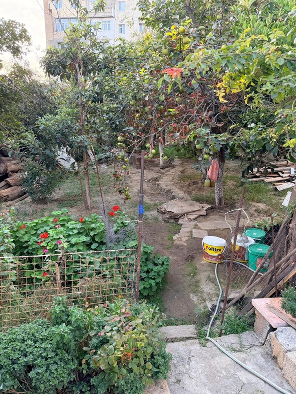 6 sot, Biznes üçün, Mülkiyyətçi, Kupça (Çıxarış)