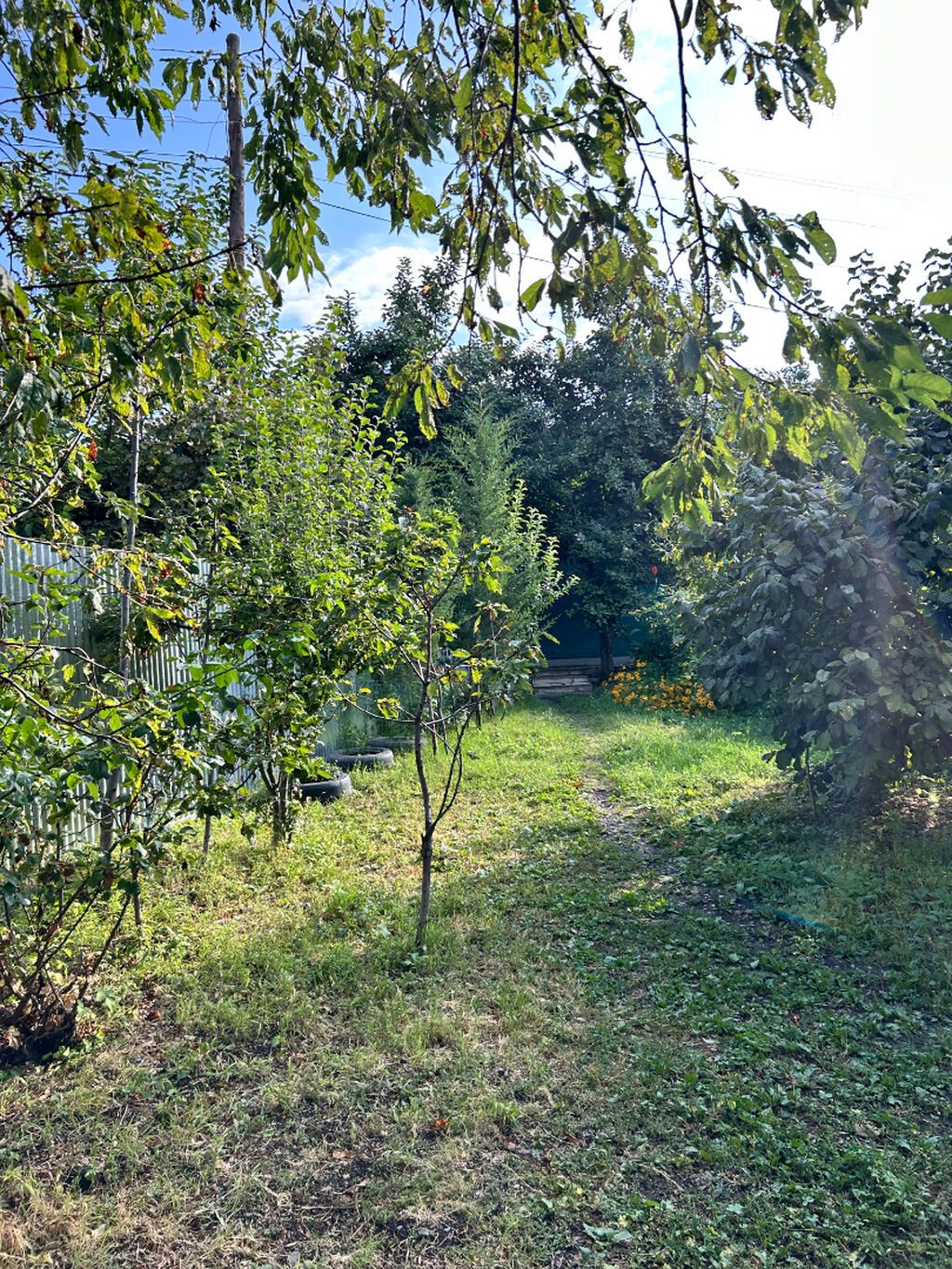🏡 İSMAYILLI – CÜLYAN KƏNDİNDƏ GÜNLÜK BAĞ EVİ | 50 AZN İsmayıllı
