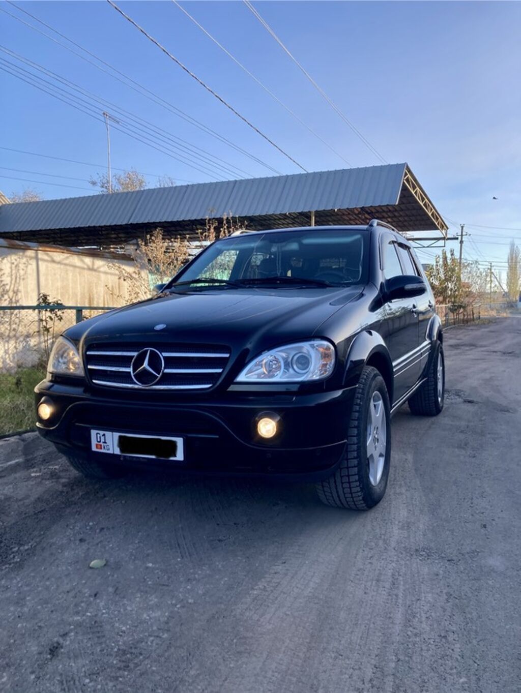 Mercedes-Benz M-Class: 2003 г., 4 л, Типтроник, Дизель, Кроссовер: фото 7