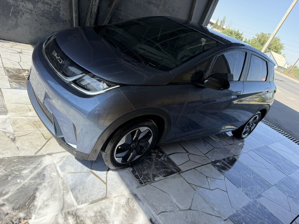 BYD Dolphin: 2025 г., Электромобиль, Хэтчбэк: фото 2