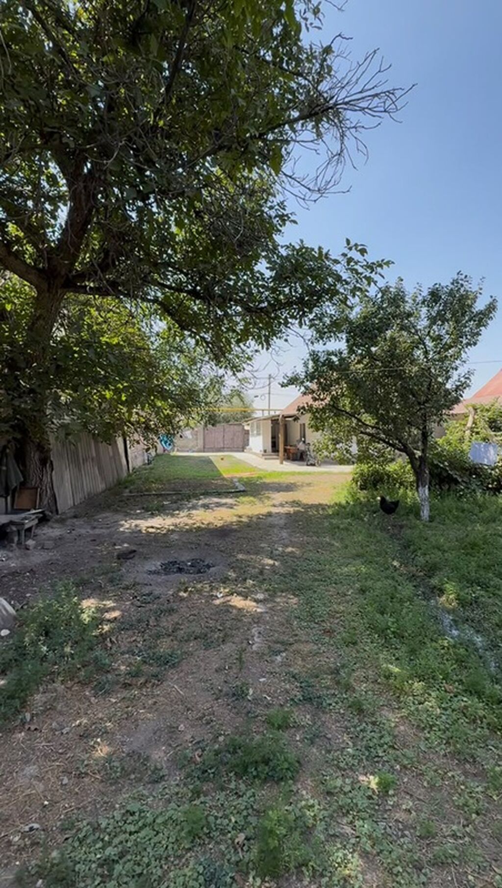 9 соток, Красная книга, Тех паспорт, Договор купли-продажи: фото 5