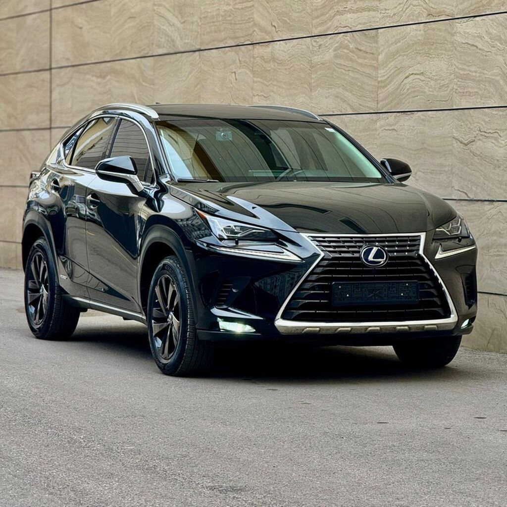 Lexus NX: 2018 г., 2.5 л, Вариатор, Гибрид, Кроссовер: фото 4