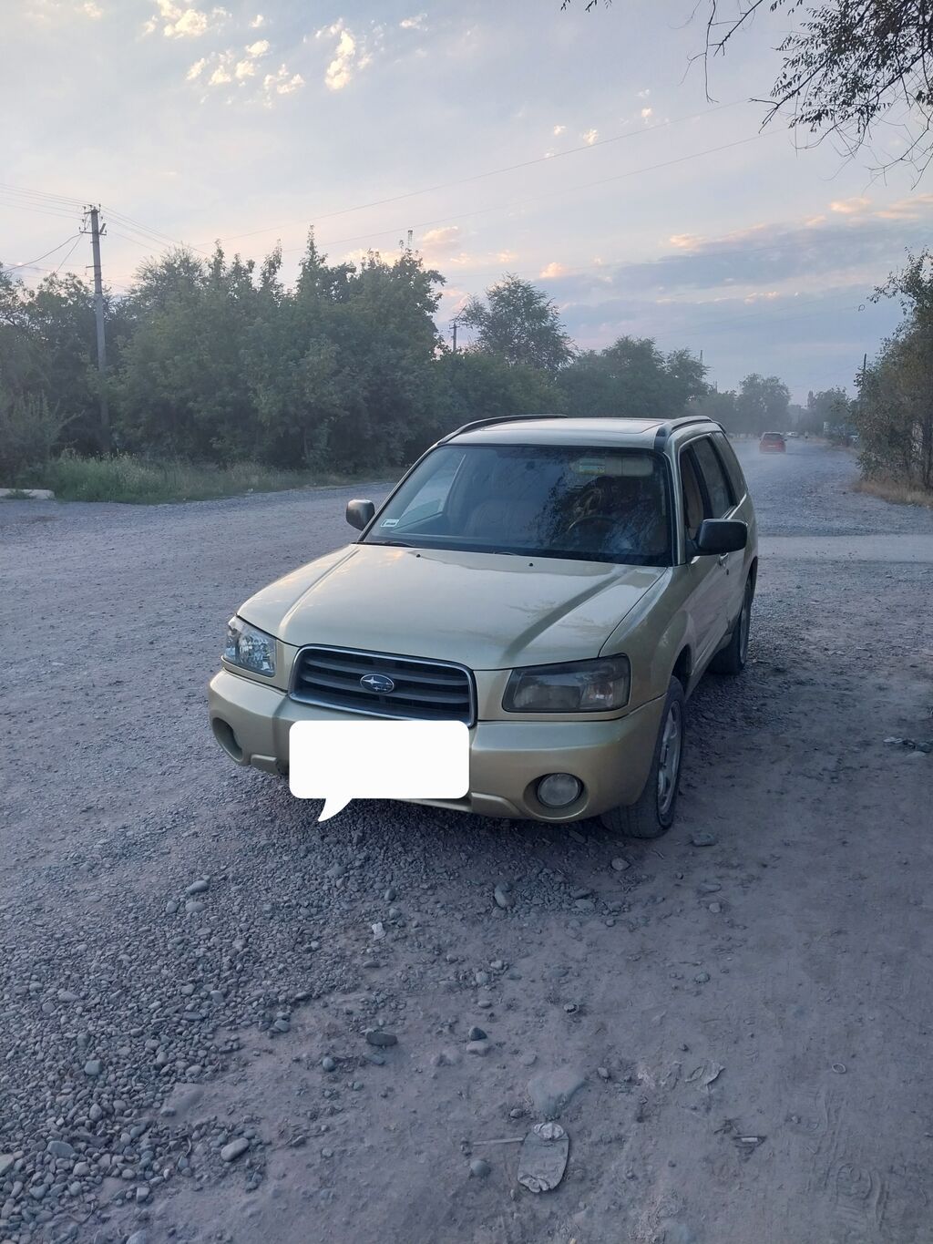 Subaru Forester: 2003 г., 2.5 л, Автомат, Бензин, Универсал: фото 1