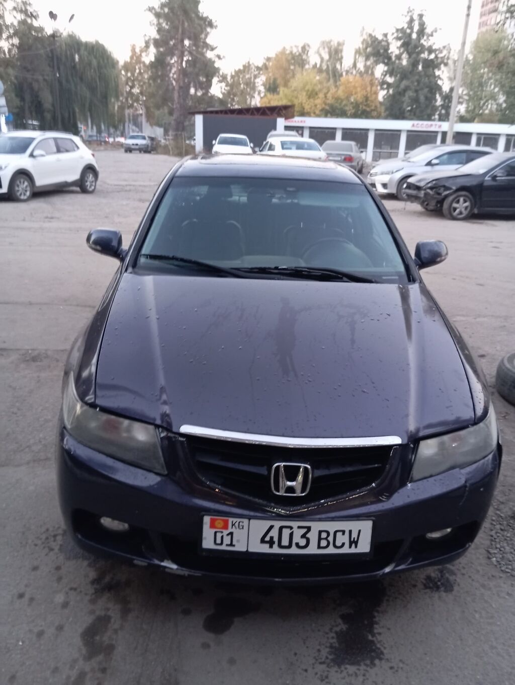 Honda Accord: 2003 г., 2.4 л, Автомат, Бензин: фото 6