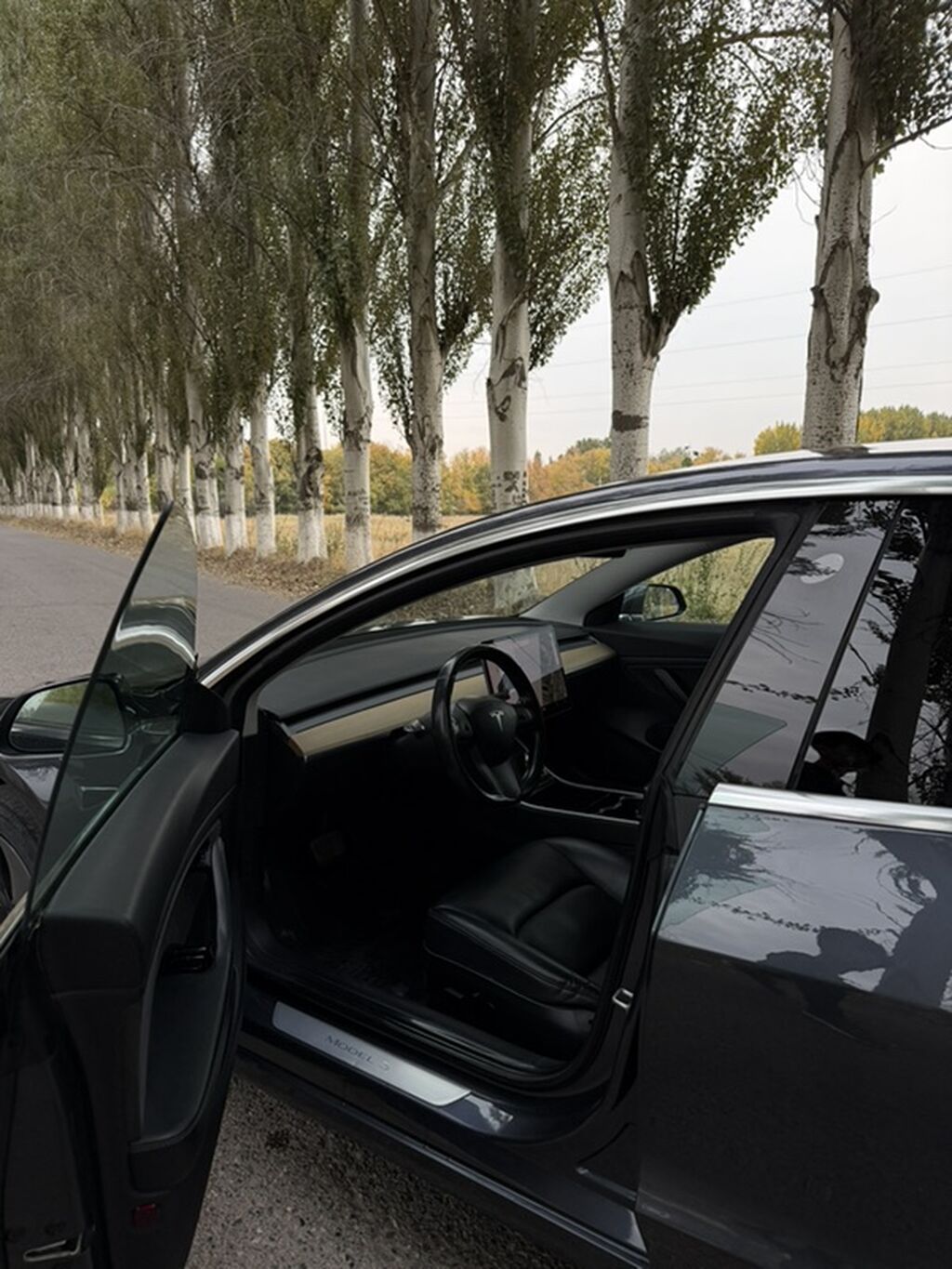 Tesla Model 3: 2018 г., 0.1 л, Автомат, Электромобиль, Седан: фото 5