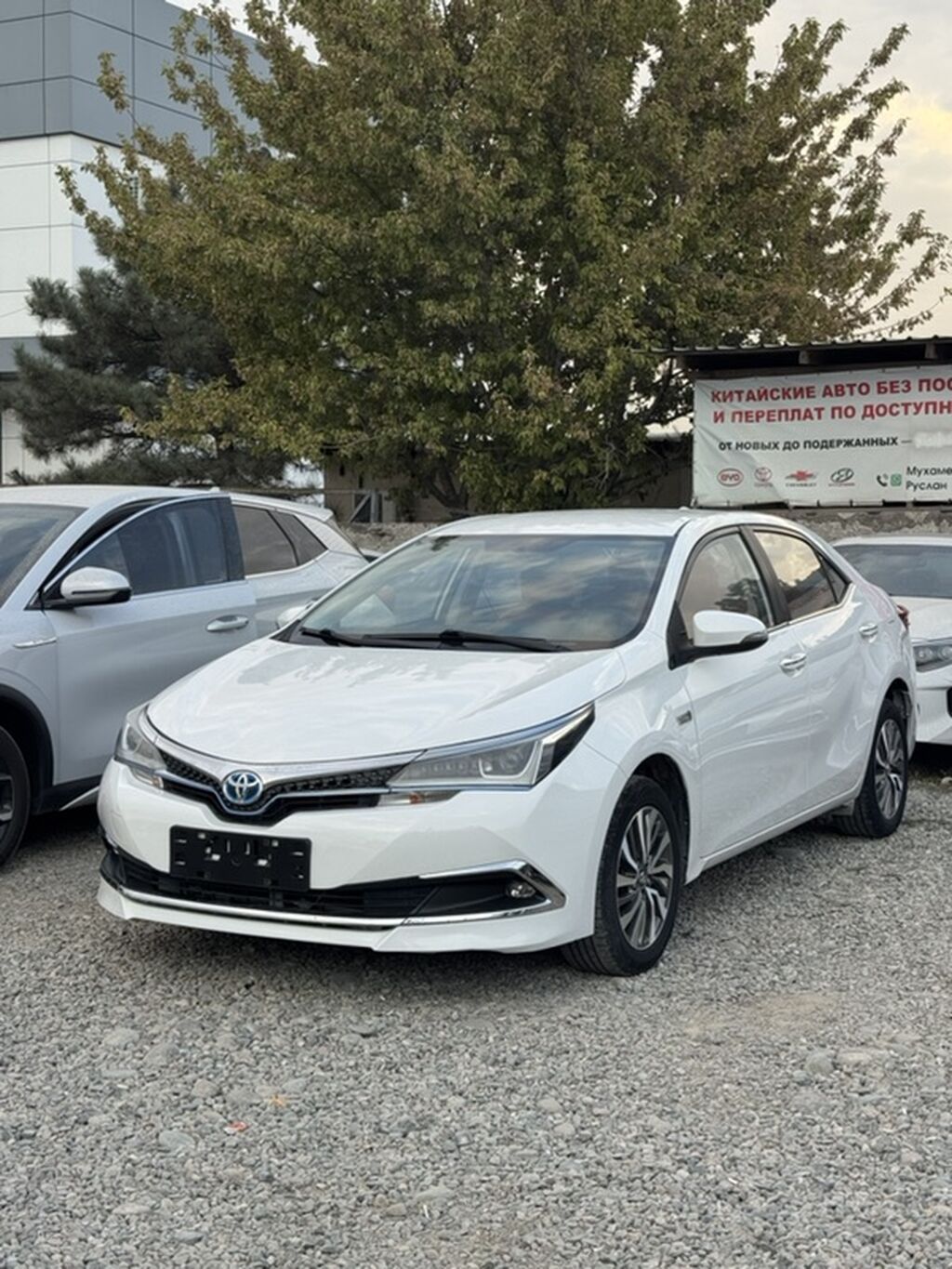 Toyota Levin: 2019 г., 1.8 л, Автомат, Гибрид, Седан: фото 1