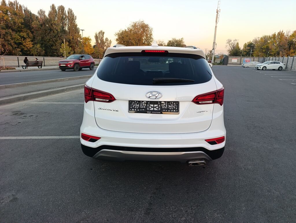 Hyundai Santa Fe: 2018 г., 2.4 л, Автомат, Бензин, Кроссовер: фото 6