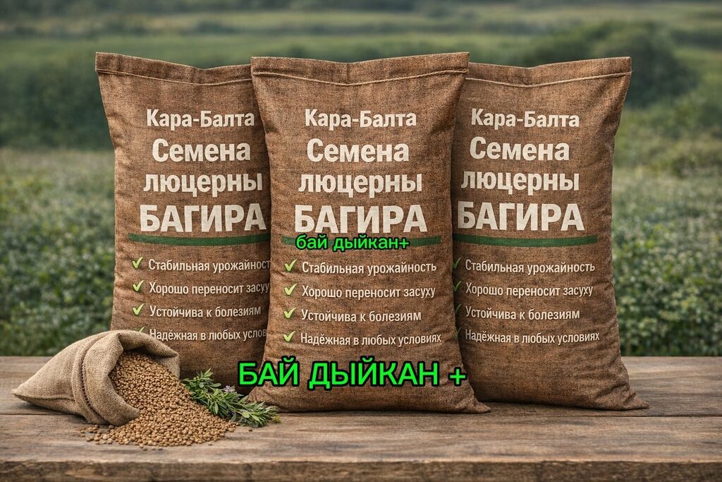 ЛЮЦЕРНА ДЖЕЯ (ДЖЕЯ) БЕДЕ УРУК 7 ОБЛАСТЬ Жогорку түшүмдүүлүк Тез: фото 2