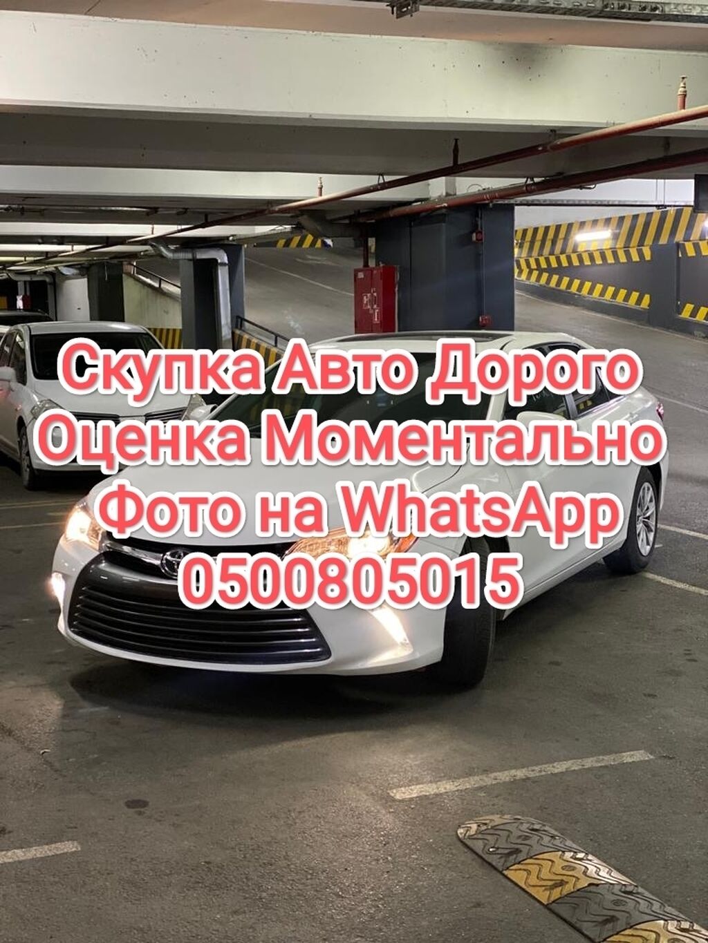 Скупка Авто 24/7 Куплю Дорого Расчет: Договорная ➤ Другое | Бишкек |  98269344 ᐈ lalafo.kg