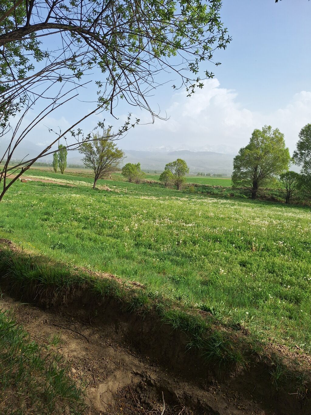 60 соток, Красная книга, Тех паспорт: фото 3