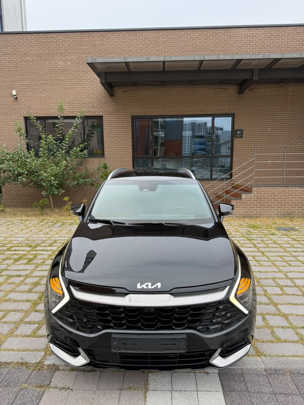 Kia Sportage: 2023 г., 1.6 л, Автомат, Гибрид, Кроссовер: фото 3