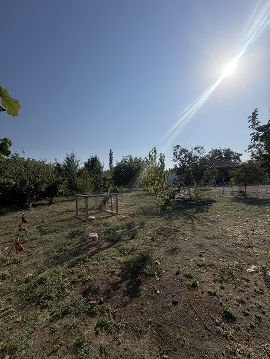 25 sot, Tikinti, Mülkiyyətçi, Kupça (Çıxarış)