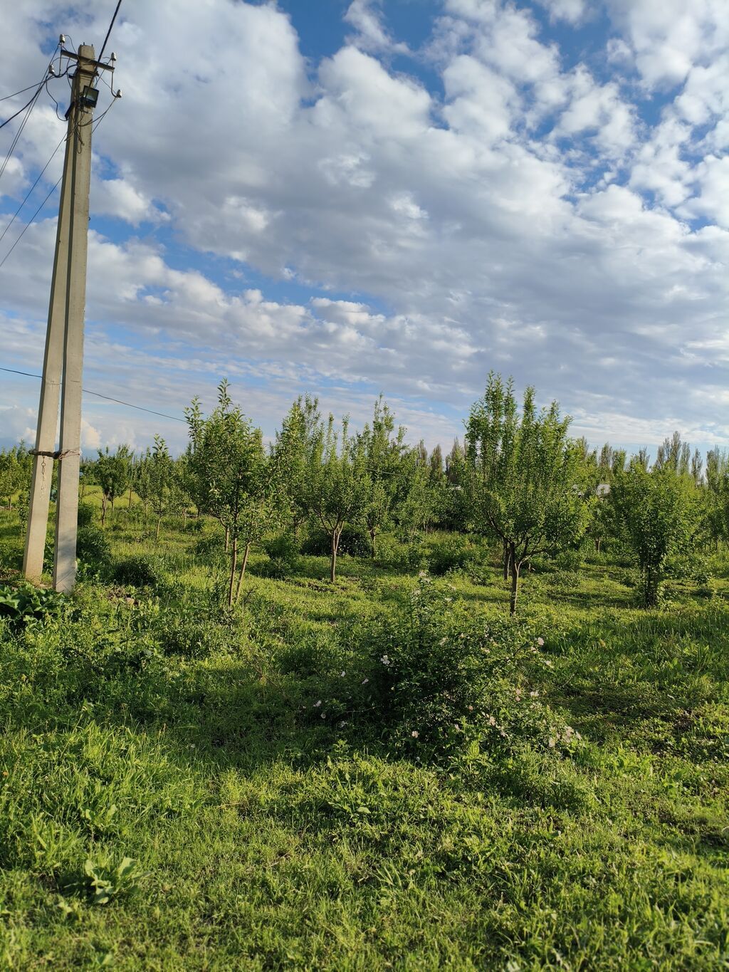 100 соток, Для бизнеса, Договор купли-продажи: фото 4