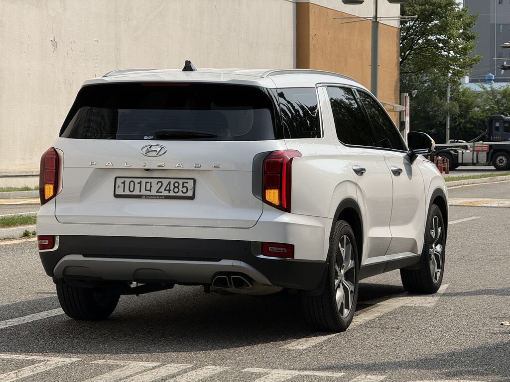 Hyundai Palisade: 2020 г., 2.2 л, Автомат, Дизель, Кроссовер: фото 6