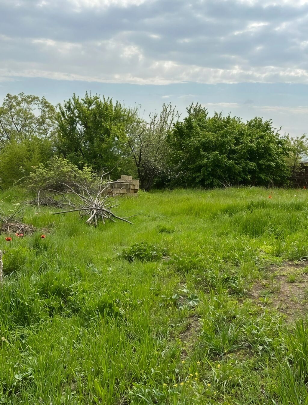 31 sot, Tikinti, Mülkiyyətçi, Kupça (Çıxarış)