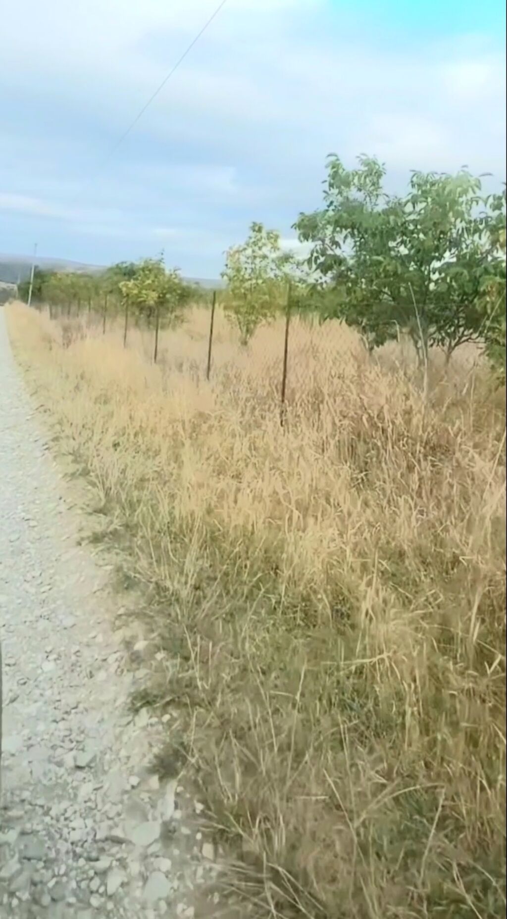 1100 sot, Tikinti, Maklerlər narahat etməsin, Kupça (Çıxarış)