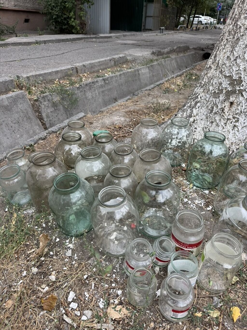 Стеклянные банки разных размеров - Разнообразие объёмов: от маленьких