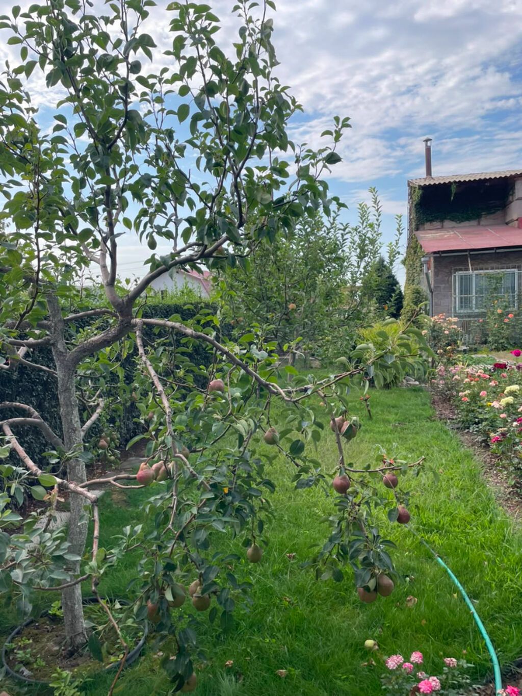 Срочная цена! Продаю участок с домом! Район: Село Кок-Жар Шикарная: фото 8