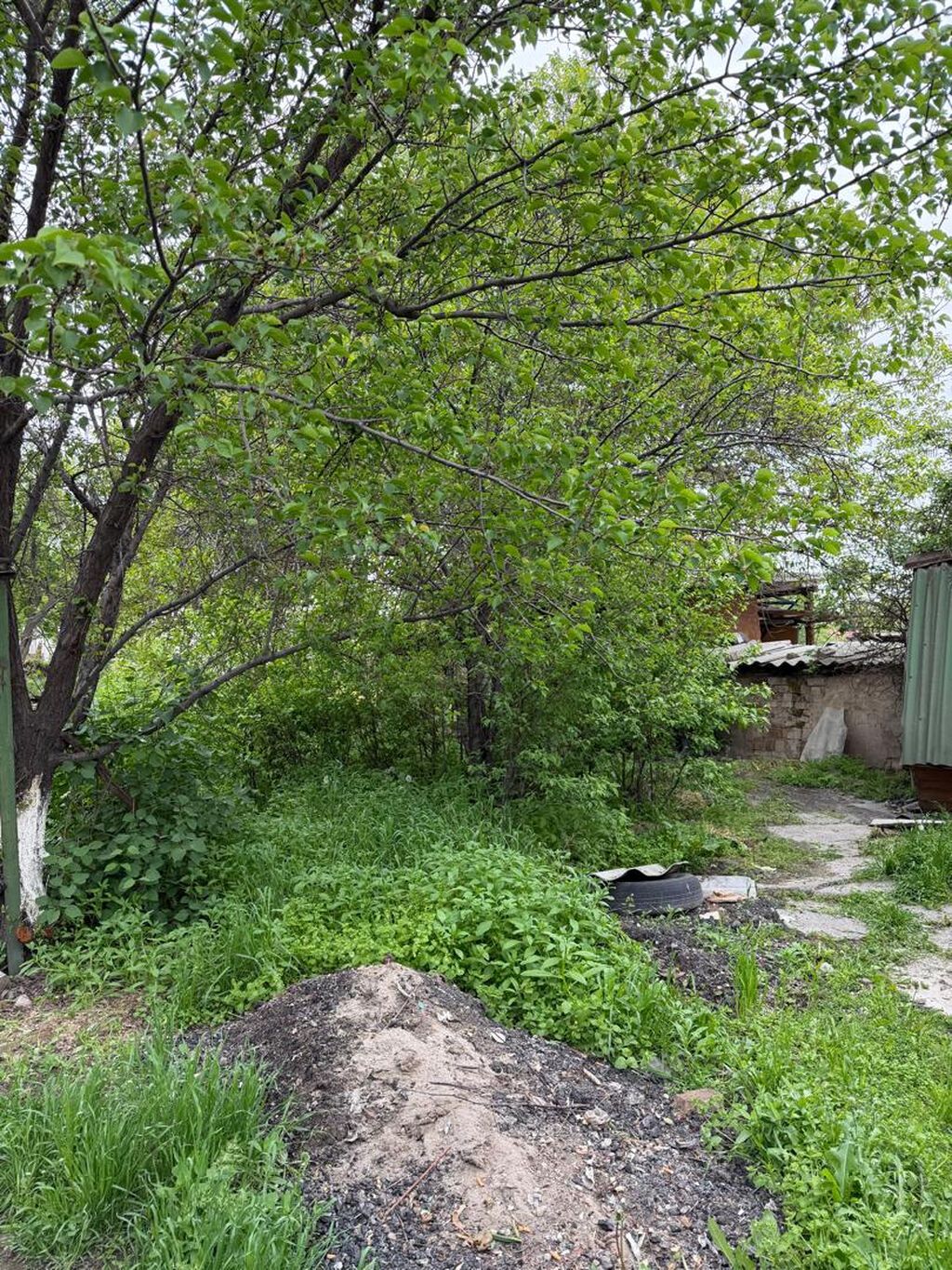 2 комнаты, 50 м², 9 соток, Бишкек, Новопавловка с. Риэлтор: фото 5