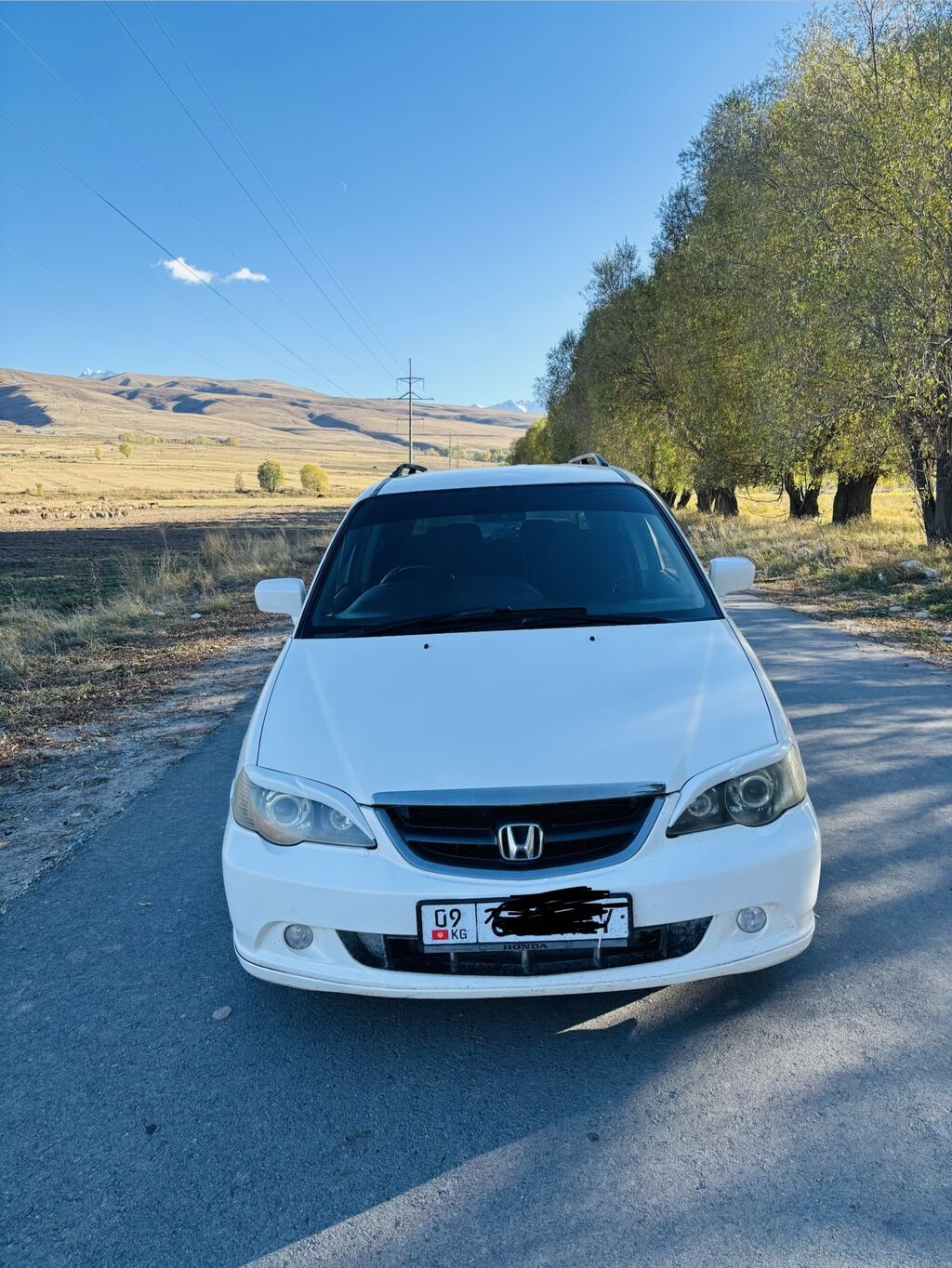 Honda Odyssey: 2002 г., 2.3 л, Автомат, Бензин, Минивэн: фото 2