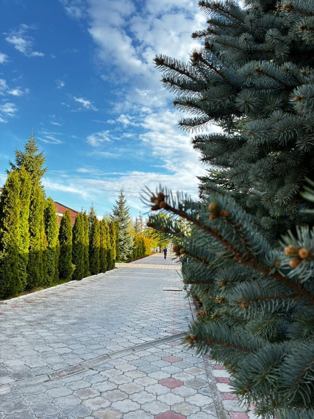 Гостиница на Иссык-Куле, ЦО Париж, Париж, Чок-Тал: фото 3