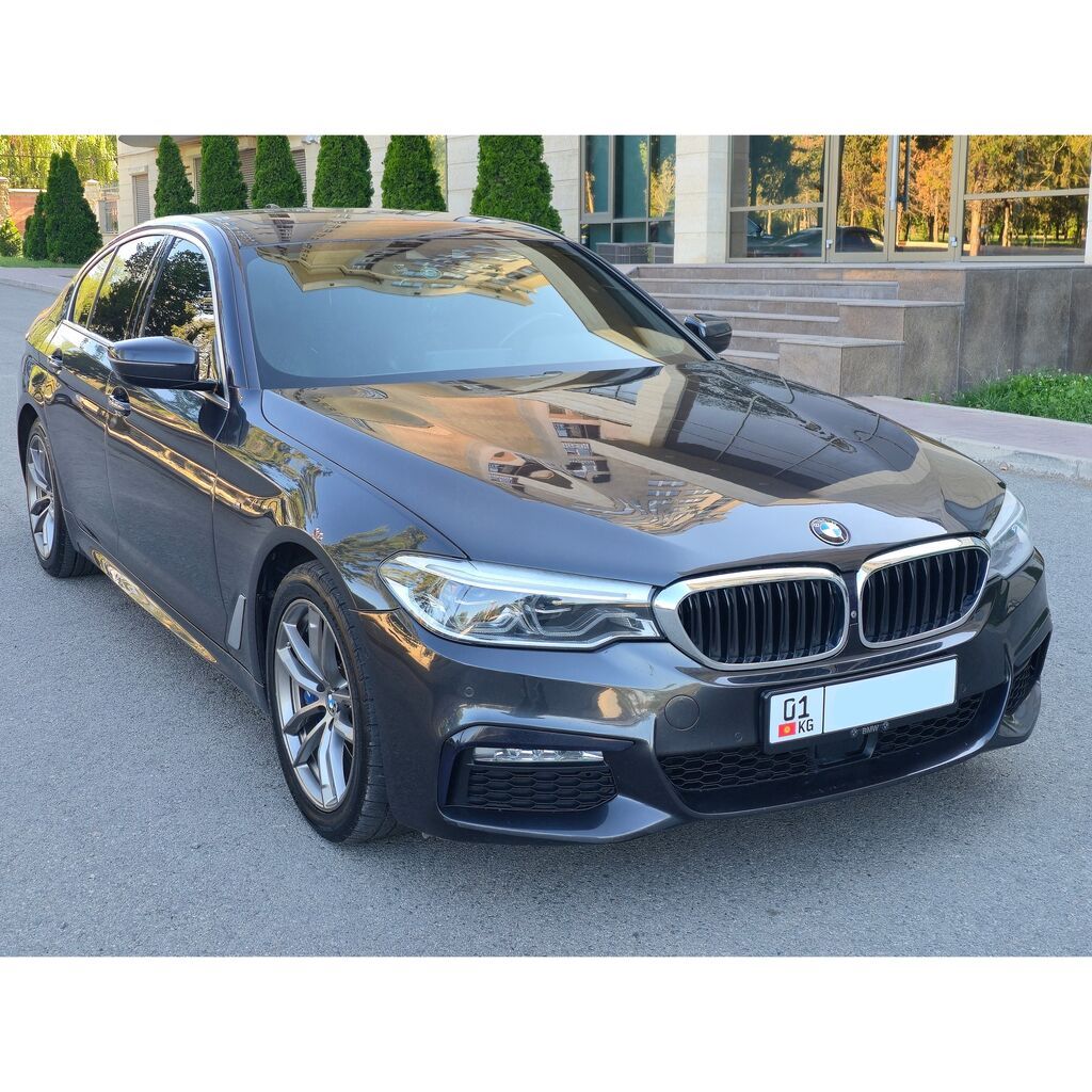 BMW 5 series: 2018 г., 2 л, Автомат, Бензин, Седан — фото 2