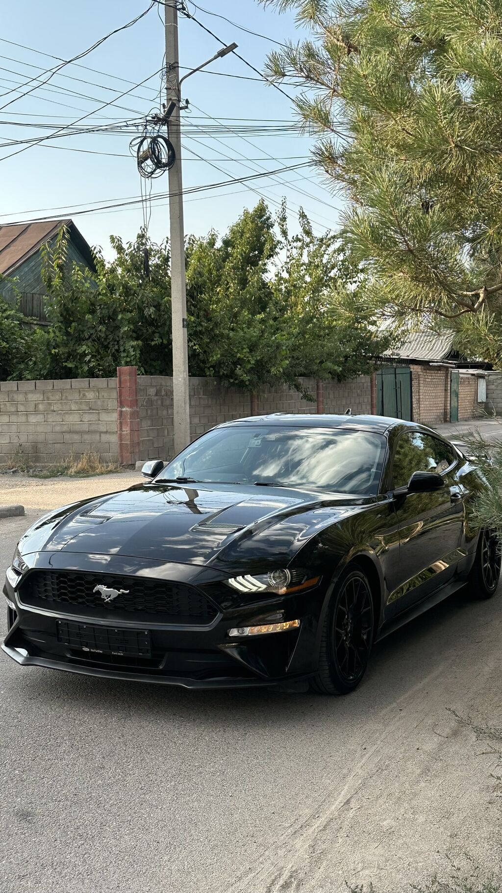 Ford Mustang: 2020 г., 2.3 л, Автомат, Бензин, Купе: фото 3