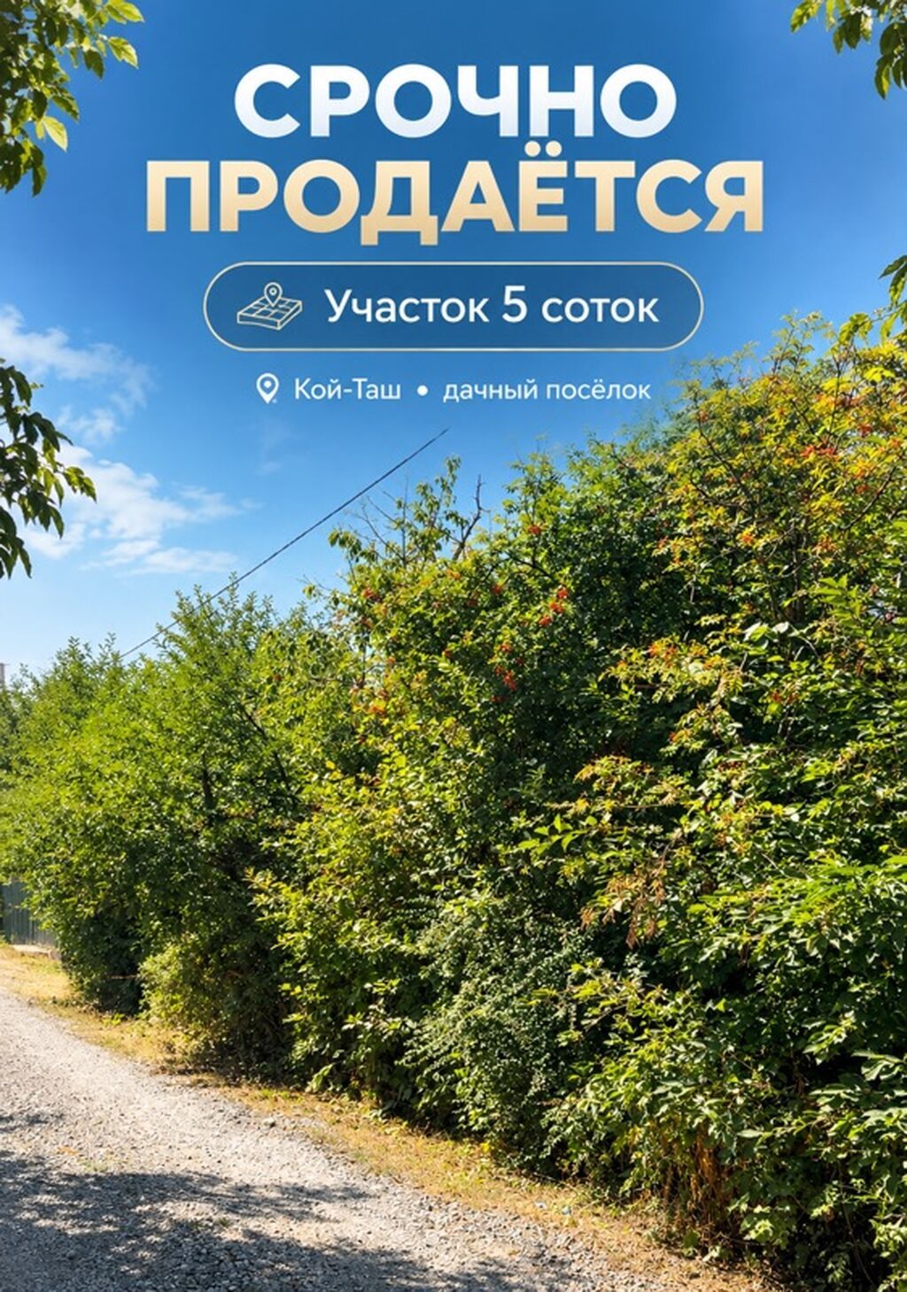 5 соток, Для бизнеса, Договор купли-продажи