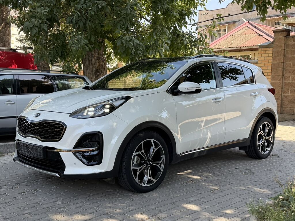 Kia Sportage: 2019 г., 2 л, Автомат, Бензин, Кроссовер: фото 1