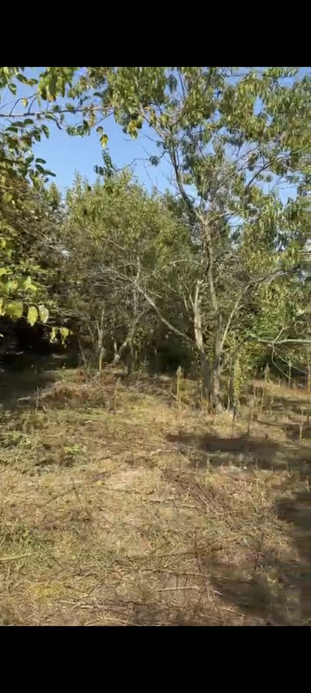 21 sot, Tikinti, Mülkiyyətçi, Kupça (Çıxarış)