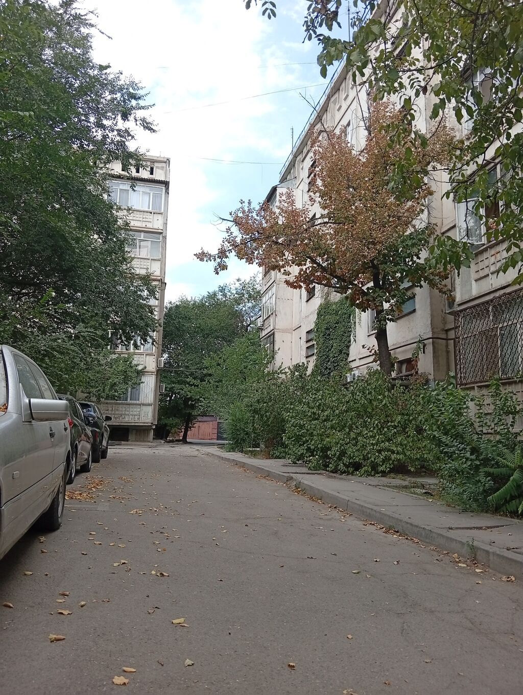 1 комната, 33 м², Золотой квадрат 105 серия, 5 этаж, Старый ремонт: фото 2