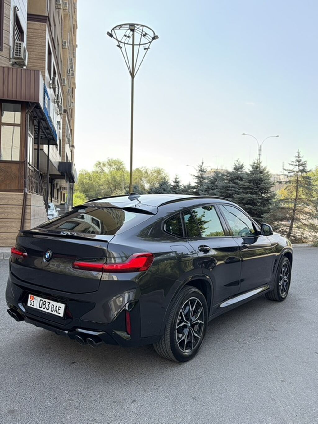 BMW X4: 2023 г., 2 л, Автомат, Бензин, Кроссовер: фото 6