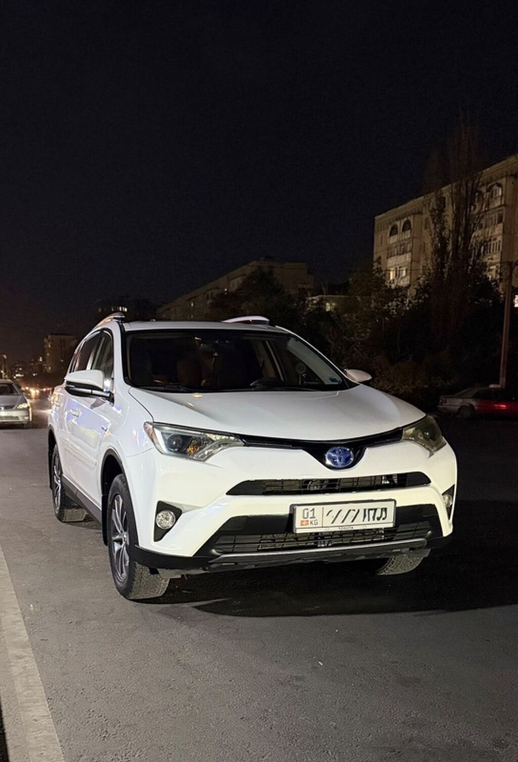 Toyota RAV4: 2016 г., Кроссовер: фото 2