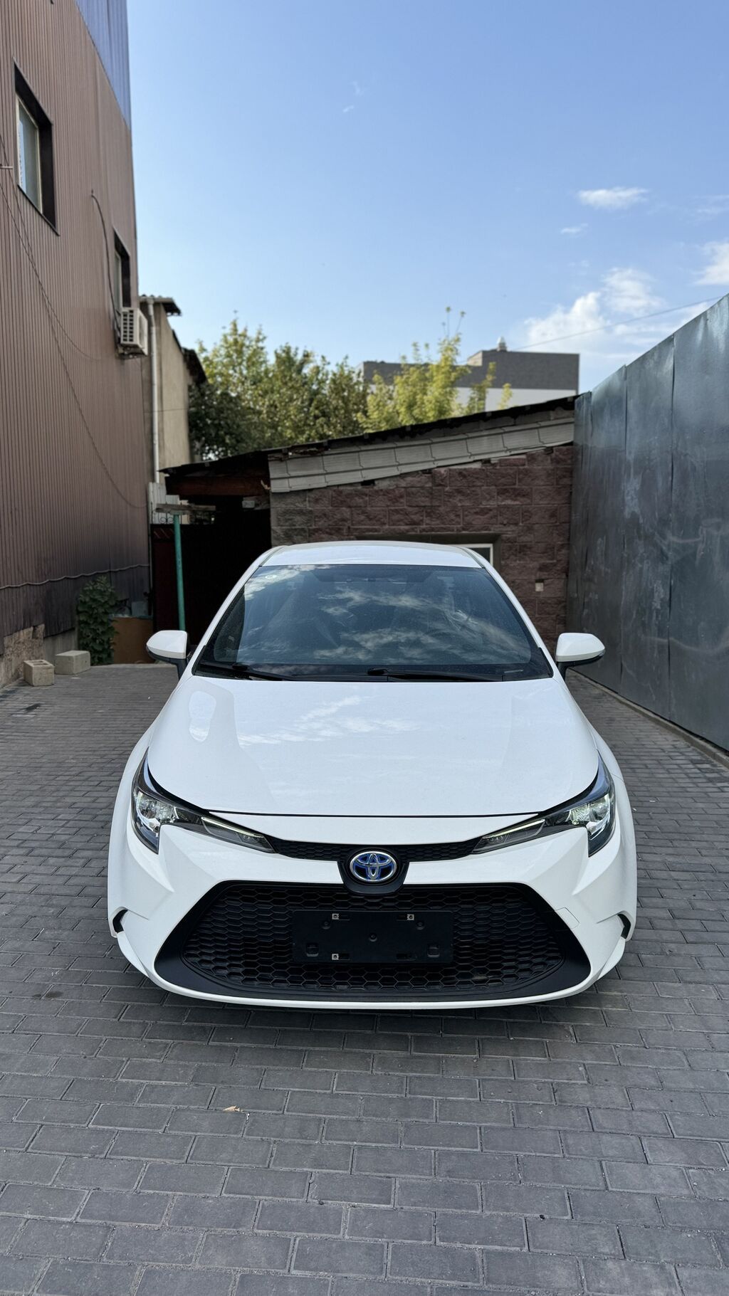 Toyota Levin: 2022 г., Гибрид, Седан: фото 2