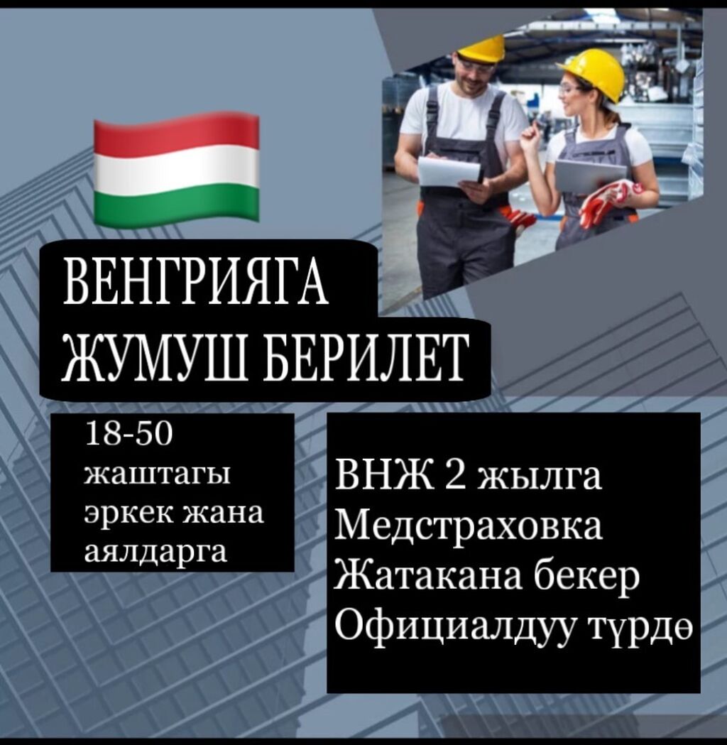 Венгрияга (Мажарстанга) жумуш🇰🇬🛫🇭🇺 50 жашка чейин: 100000 KGS ᐈ Другие  специальности | Бишкек | 85143506 ➤ lalafo.kg