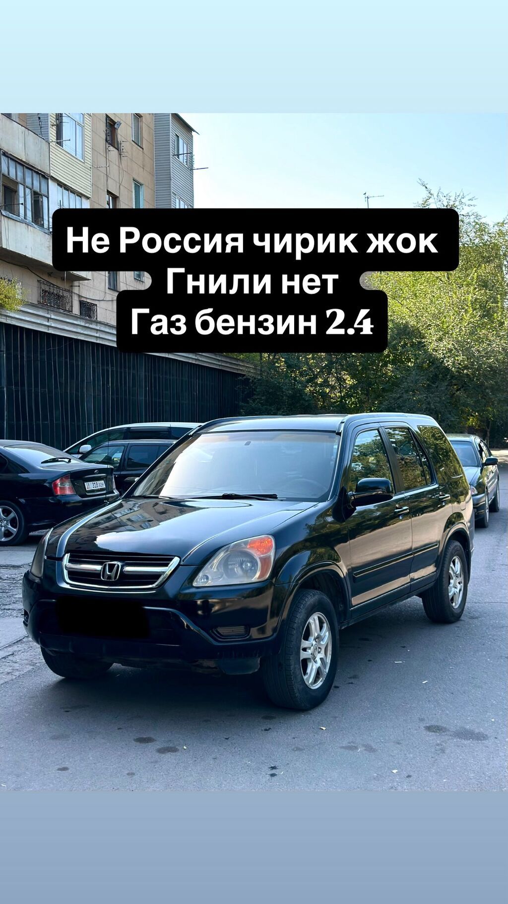 Honda CR-V: 2003 г., 2.4 л, Автомат, Газ, Внедорожник: фото 1