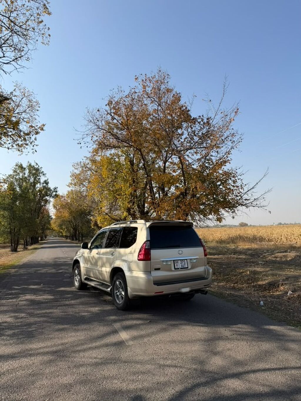 Lexus GX: 2008 г., 4.7 л, Газ, Внедорожник: фото 5