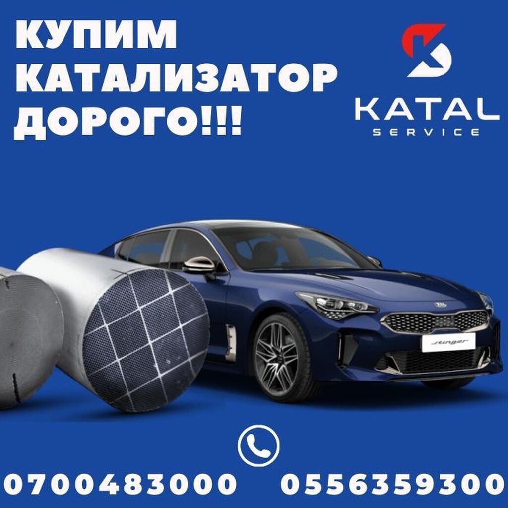 Катализатор алабыз, Катализатор катализатор бар катализатор: 25000 KGS ...