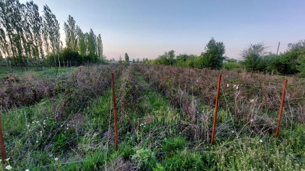 120 соток, Для бизнеса, Договор купли-продажи: фото 7