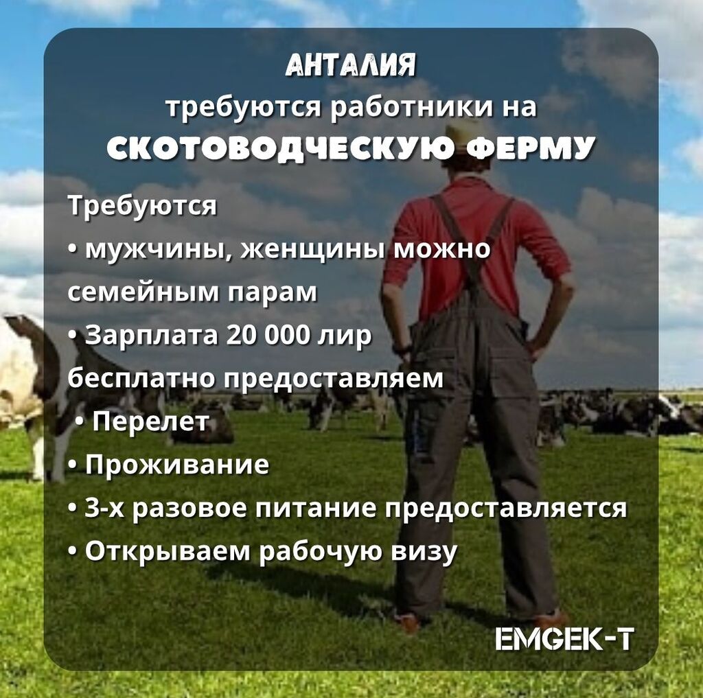 📍в анталию📍 на скотоводческую ферму отелей: 780 USD ᐈ Сельское хозяйство  | Бишкек | 35721141 ➤ lalafo.kg