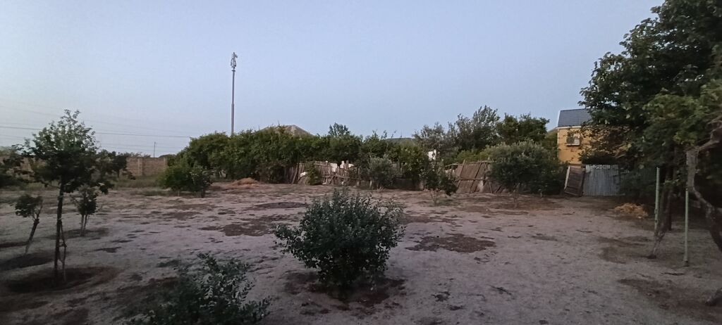 10 sot, Tikinti, Maklerlər narahat etməsin, Kupça (Çıxarış)