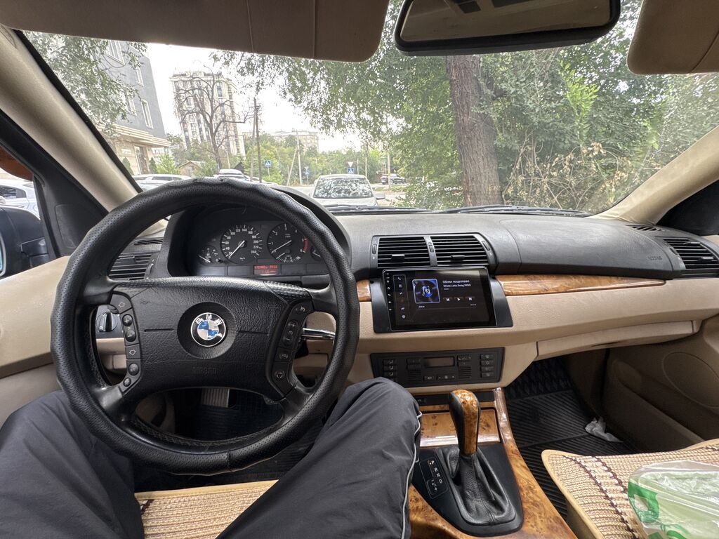 BMW X5: 2003 г., 3 л, Автомат, Дизель: фото 3