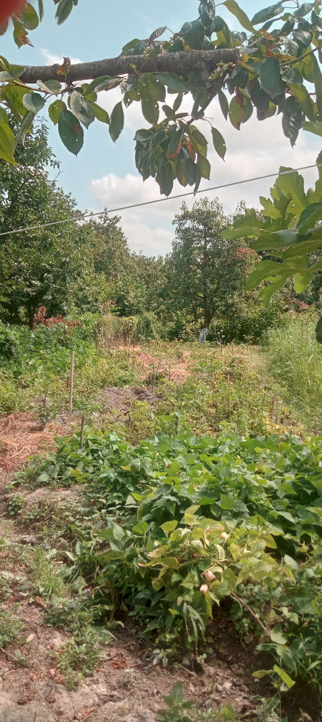 4 otaqlı, 87 kv. m, Kredit yoxdur, Təmirsiz